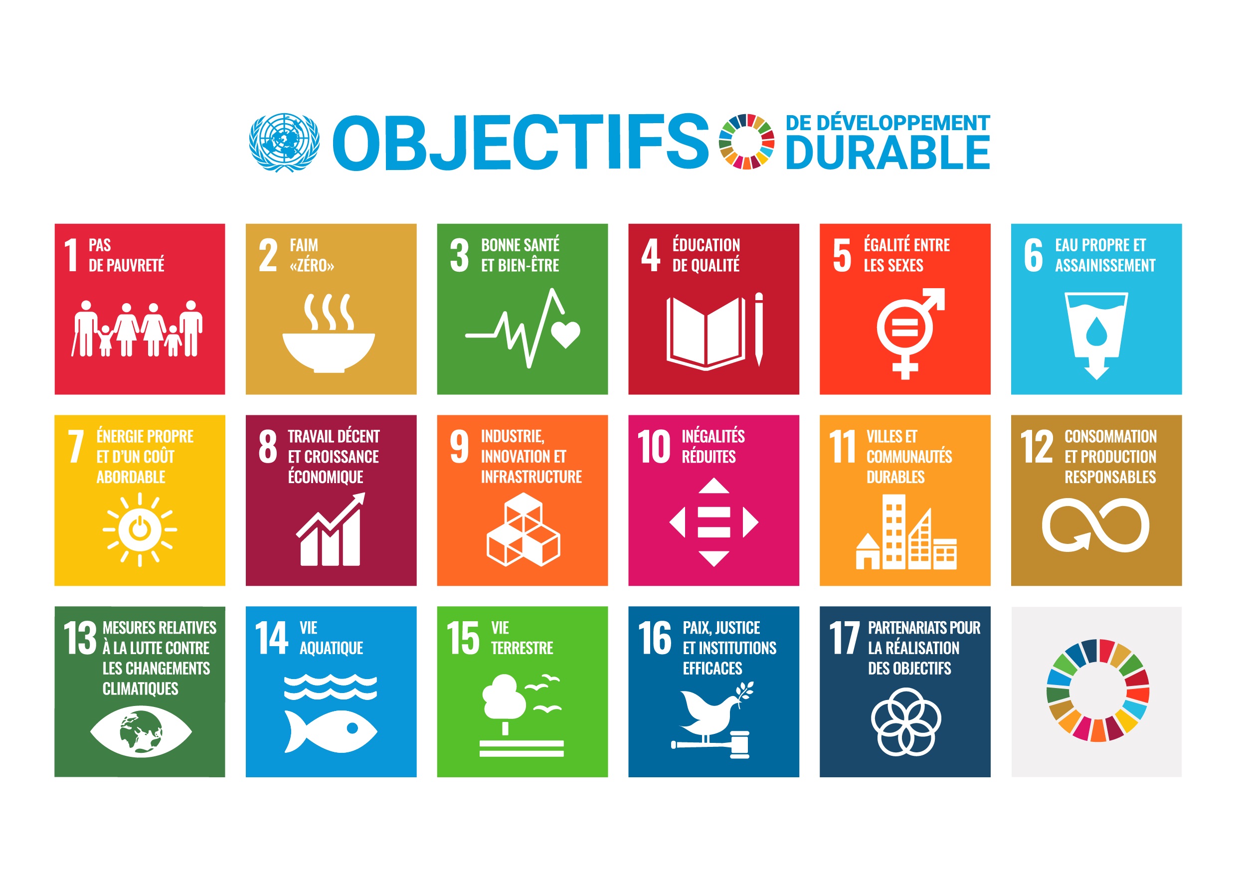 ONU Objectifs de Développement Durable